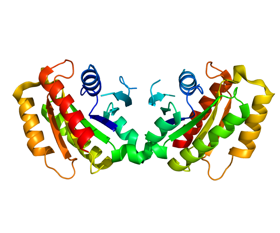 Protein LRRK2 PDB 2ZEJ