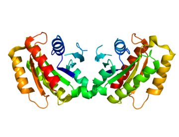 Protein LRRK2 PDB 2ZEJ